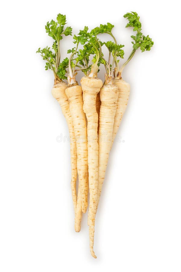 Parsley root