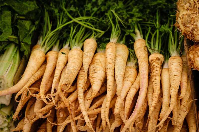 Parsley Roots and Carrots Fresh Vegetables Isolated, White Background