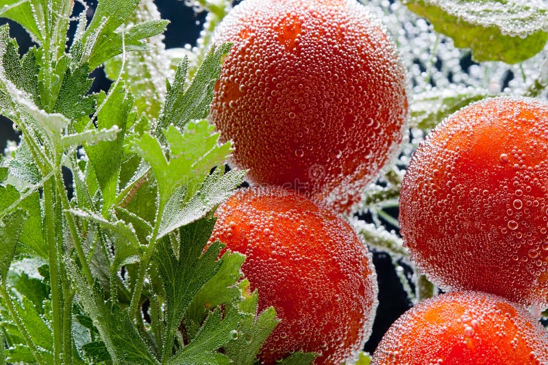 Parsley and tomato in bubbles