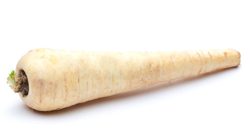 Parsnip