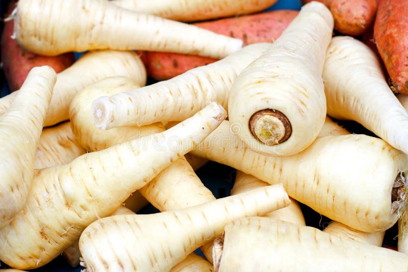 Parsnip pile