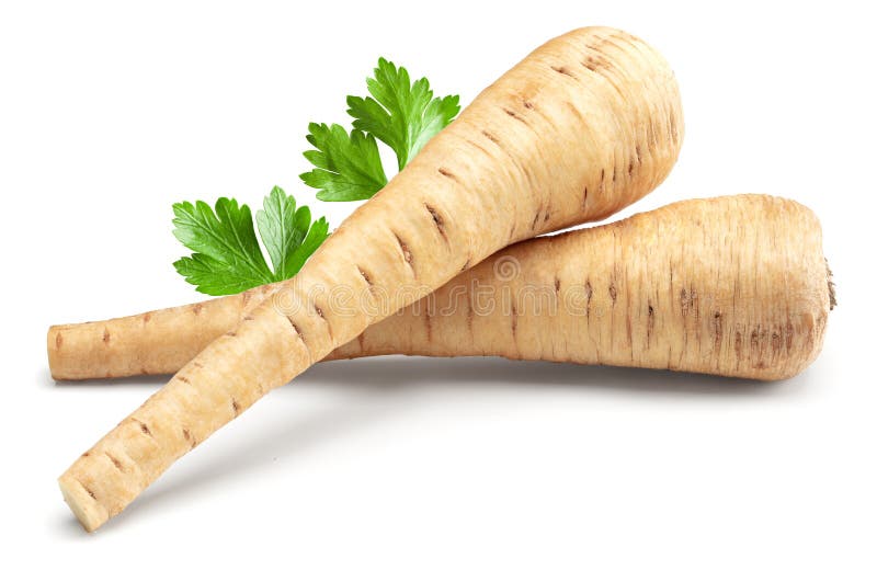 Parsnip root isolated on white background. clipping path royalty free stock photography