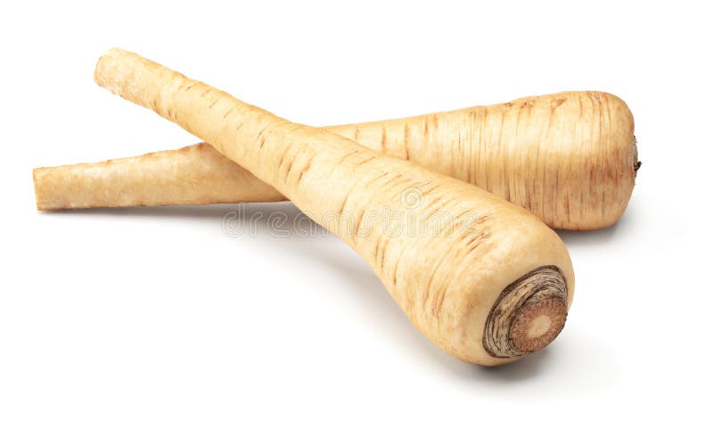 Parsnip root isolated on white background. clipping path stock photography