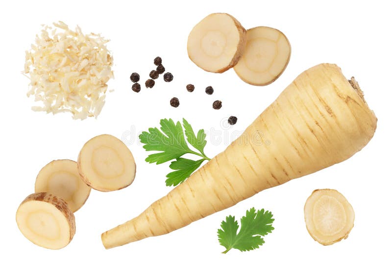 Parsnip Root and Slices with Parsley Isolated on White Background with