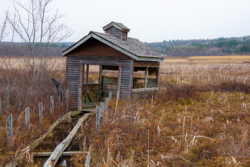 Part of a nice lake royalty free stock photos