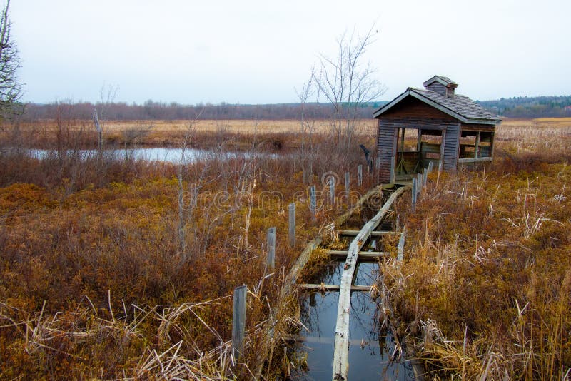 Part of a nice lake stock image