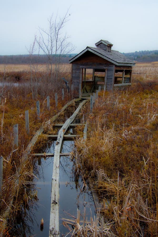 Part of a nice lake royalty free stock photo