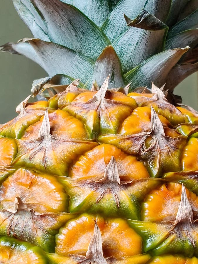 Part of Ripe Pineapple is Closeup. Fragment of Fresh Delicious Fruit