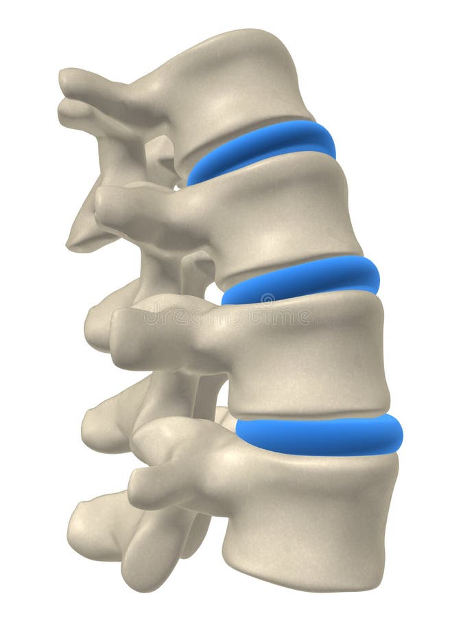 Tridimensional fusionado ilustraciones de hombre columna vertebral.