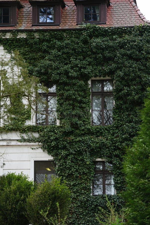 A Guide To Energy Efficiency In Multi-storey Buildings