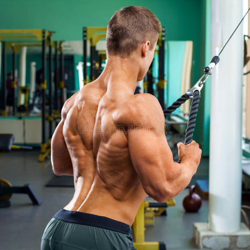Parte traseira muscular, homem do halterofilista que faz o pulôver para os lats no gym Torso despido masculino forte, dando certo fotos de stock royalty free Parte traseira muscular, homem do halterofilista que faz o pulôver para os lats no gym Torso despido masculino forte, dando certo fotos de stock royalty free