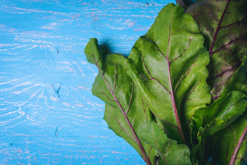 Partes superiores de beterraba na tabela de madeira azul velha Copie o espa?o Alimento saud?vel Vegetais crus fotos de stock Partes superiores de beterraba na tabela de madeira azul velha Copie o espa?o Alimento saud?vel Vegetais crus fotos de stock