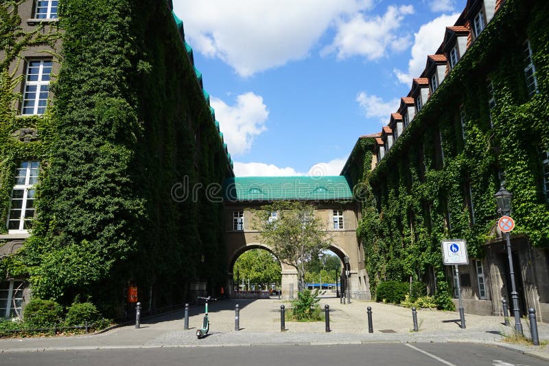 Plants in Germany. Parthenocissus tricuspidata climbs the wall of Rathaus Spandau in August. Parthenocissus tricuspidata, Boston ivy, grape ivy, Japanese ivy, Japanese creeper, and woodbine, is a flowering plant. Berlin, Germany. Plants in Germany. Parthenocissus tricuspidata climbs the wall of Rathaus Spandau in August. Parthenocissus tricuspidata, Boston ivy, grape ivy, Japanese ivy, Japanese creeper, and woodbine, is a flowering plant. Berlin, Germany.