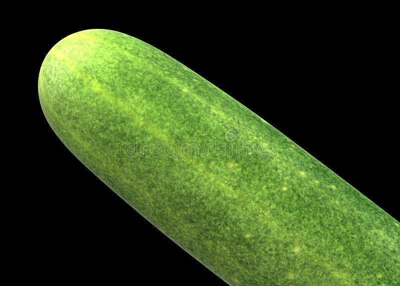 Partial view of a green cucumber at the tip head against a black backdrop. A computer generated illustration image of the partial view of a green cucumber at the stock illustration Partial view of a green cucumber at the tip head against a black backdrop. A computer generated illustration image of the partial view of a green cucumber at the stock illustration