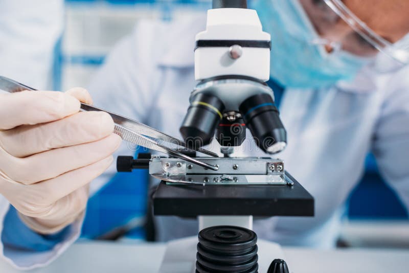 partial view of scientists working on scientific royalty free stock photo partial view of scientists working on scientific royalty free stock photo