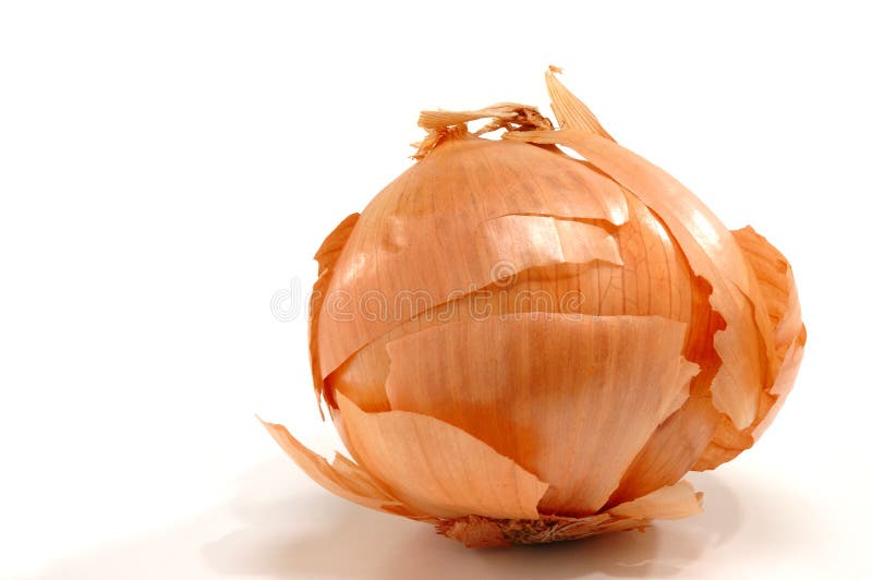 Echalion Shallots Stock Photos - Free & Royalty-Free Stock Photos from  Dreamstime