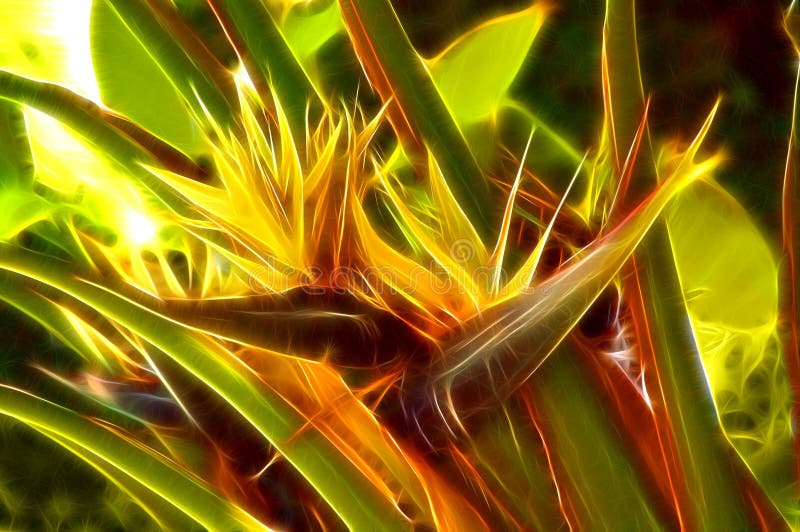 Particolari della natura: fiori immagini stock libere da diritti Particolari della natura: fiori immagini stock libere da diritti