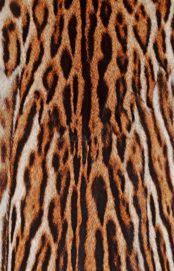 COPERTA PLAID PILE Leopardato Con Pelliccia Ecologica 210x240 Cm Modello Furs - Foto 3