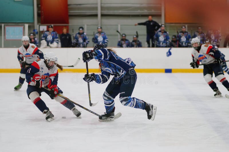 Partita Dinamo St Petersburg del hockey su ghiaccio delle donne contro Biryusa Krasnojarsk fotografia stock Partita Dinamo St Petersburg del hockey su ghiaccio delle donne contro Biryusa Krasnojarsk fotografia stock