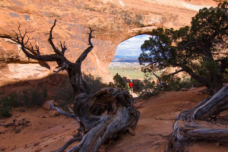 Partition Arch Arches National Park, Utah, USA Stock Image Image of