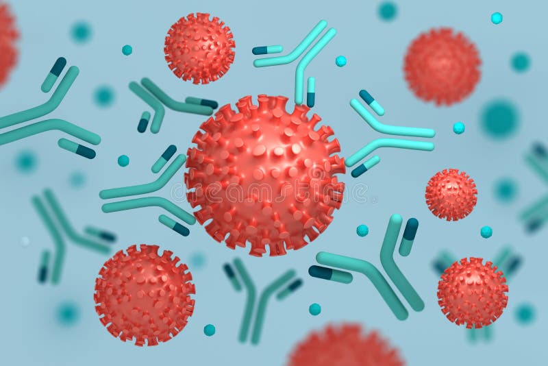 Medical concept illustration corona virus particles interacting with epitopes of antibodies immunoglobulins produced by immune system. 3d illustration. Medical concept illustration corona virus particles interacting with epitopes of antibodies immunoglobulins produced by immune system. 3d illustration