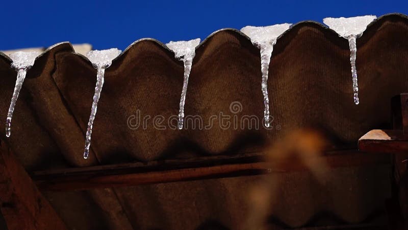 Partículas de primavera colgando del tejado de pizarra en el que los heraldos de calor gotean de agua de la nieve derritiéndose. almacen de video