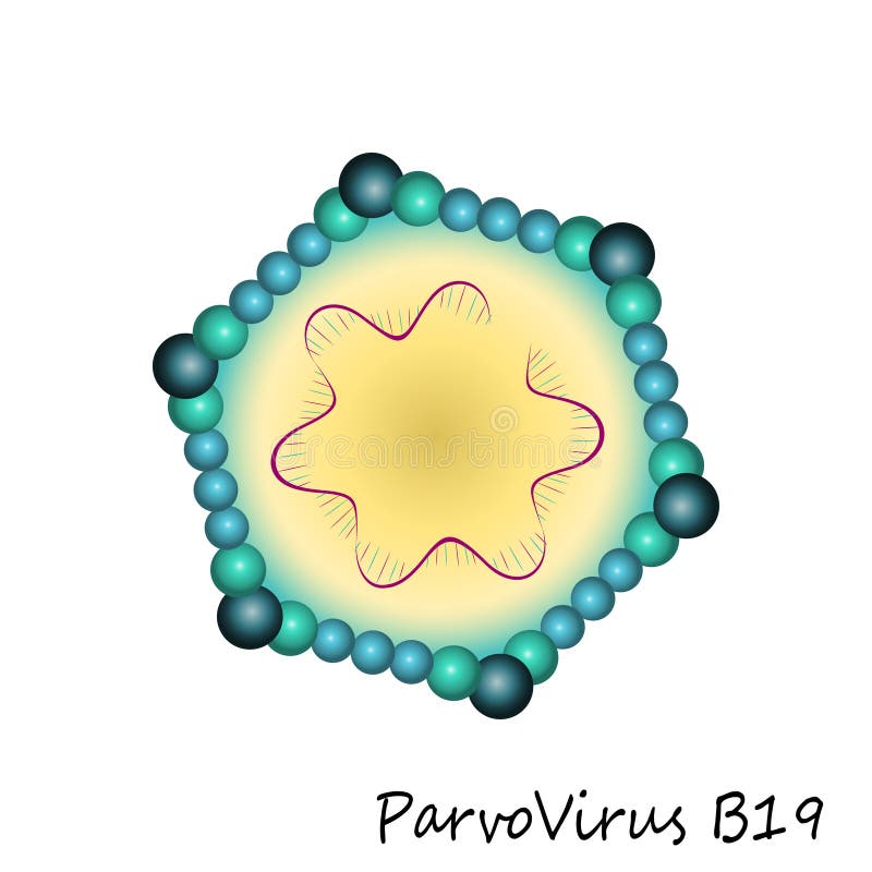 photonium particle structure photonium particle structure