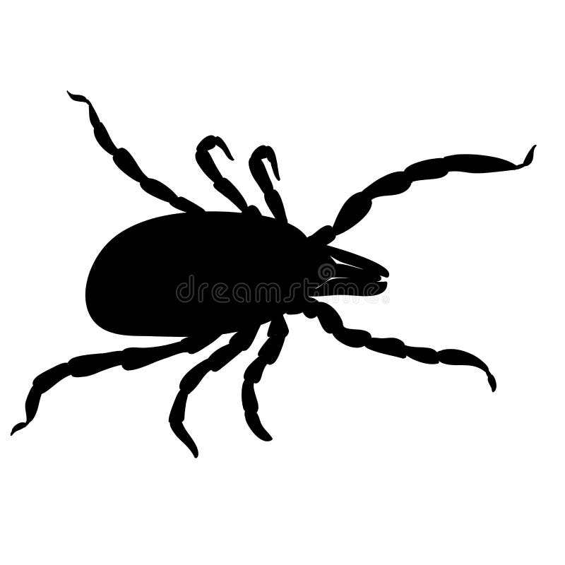 Parásitos del ácaro Silueta de la señal aislada en el fondo blanco ilustración del vector Parásitos del ácaro Silueta de la señal aislada en el fondo blanco ilustración del vector
