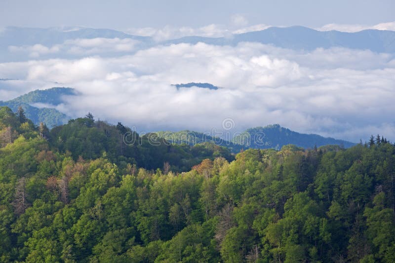 Summer landscape from Newfound Gap, Great Smoky Mountains National Park, Tennessee, USA. Summer landscape from Newfound Gap, Great Smoky Mountains National Park, Tennessee, USA