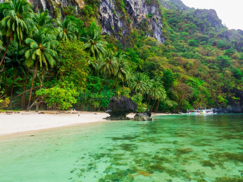 Pasandigan Beach, El Nido, Palawan Stock Image Image of island, palm