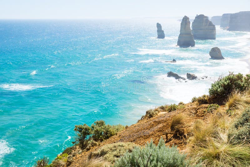 Pascolo e cespugli ai dodici Apostels alla grande strada dell'oceano, Victoria, Australia immagine stock Pascolo e cespugli ai dodici Apostels alla grande strada dell'oceano, Victoria, Australia immagine stock