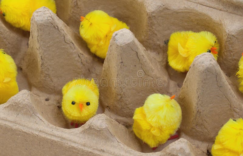 Pasen-kuikens in een eggbox royalty-vrije stock afbeeldingen Pasen-kuikens in een eggbox royalty-vrije stock afbeeldingen