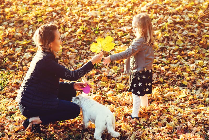 Paseo de la familia en el parque del otoño Familia feliz y su perro que gozan de las hojas caidas en la naturaleza Aire libre de fotos de archivo Paseo de la familia en el parque del otoño Familia feliz y su perro que gozan de las hojas caidas en la naturaleza Aire libre de fotos de archivo
