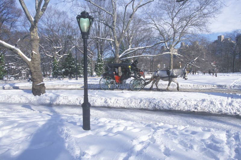 Paseo en Central Park, Manhattan, New York City, NY del carro del caballo después de la nevada del invierno imagen de archivo Paseo en Central Park, Manhattan, New York City, NY del carro del caballo después de la nevada del invierno imagen de archivo