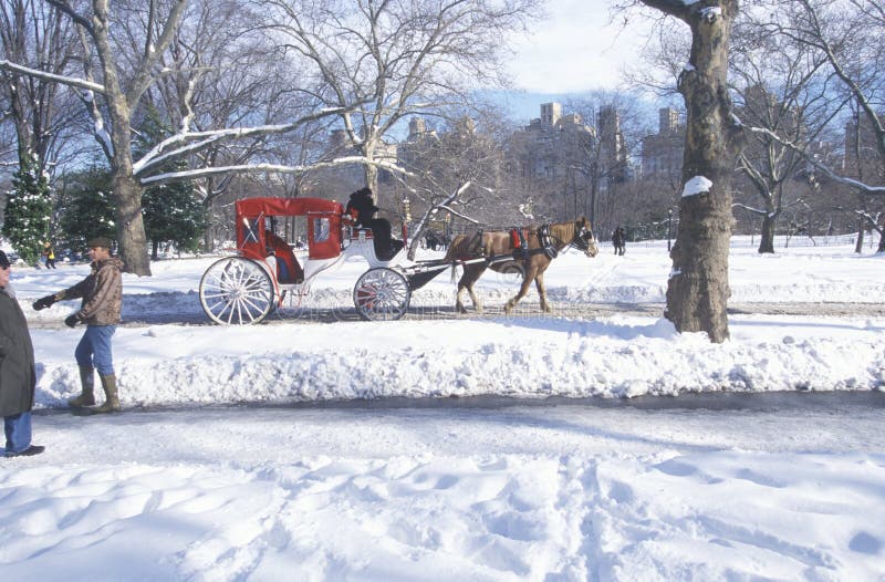 Paseo en Central Park, Manhattan, New York City, NY del carro del caballo después de la nevada del invierno fotografía de archivo Paseo en Central Park, Manhattan, New York City, NY del carro del caballo después de la nevada del invierno fotografía de archivo