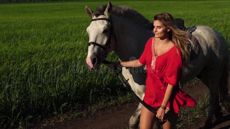 Paseo hermoso joven de la ventaja de la mujer con un caballo blanco en el campo verde