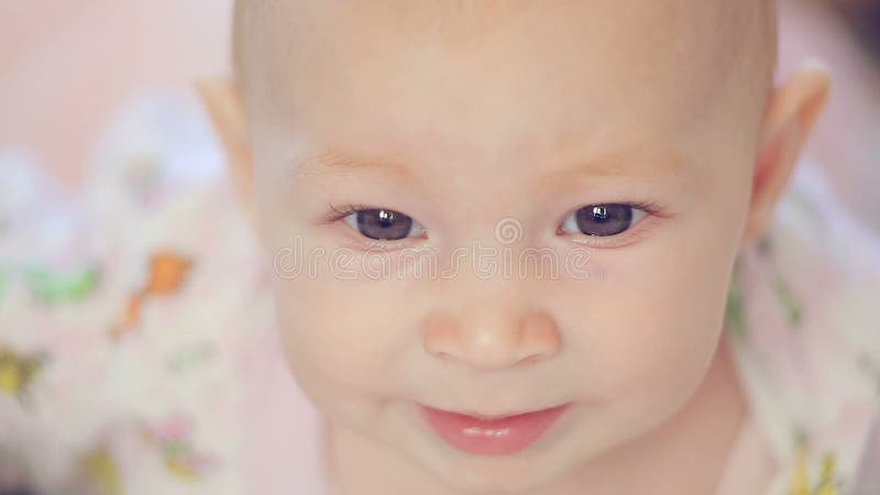 Pasgeboren baby die de camera bekijken stock video Pasgeboren baby die de camera bekijken stock video