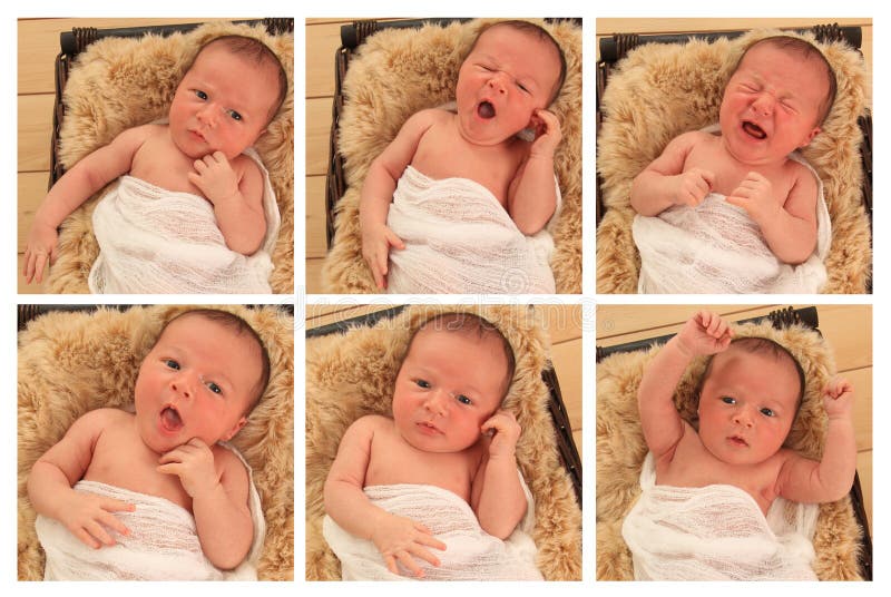 Composite of six images of a newborn baby boy with several different expressions. Composite of six images of a newborn baby boy with several different expressions.