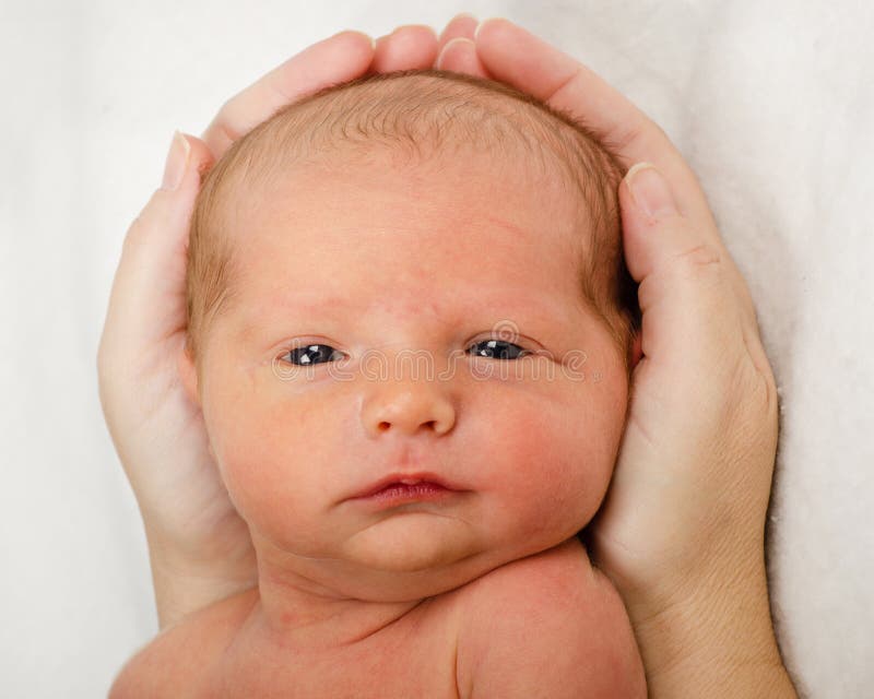 Pasgeboren babyportret stock foto Pasgeboren babyportret stock foto