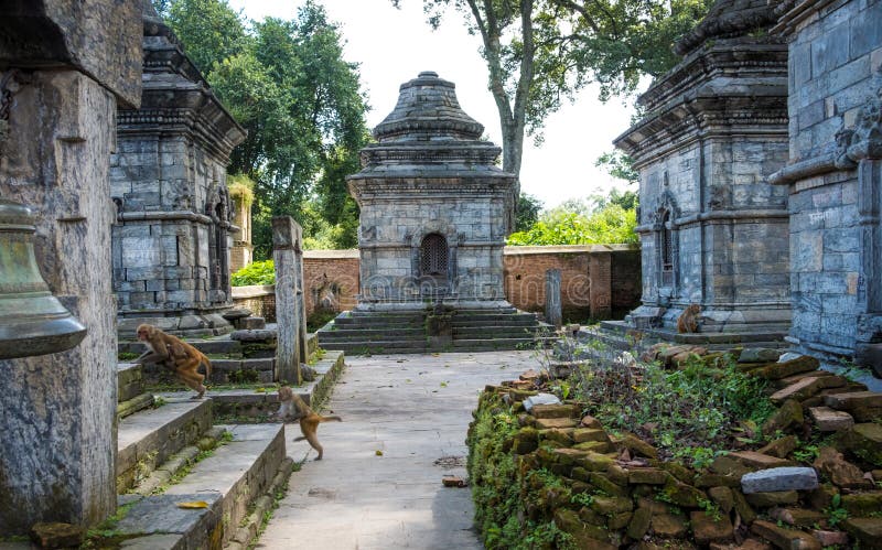 Pashupatinath temple complex in Kathmandu stock photos Pashupatinath temple complex in Kathmandu stock photos