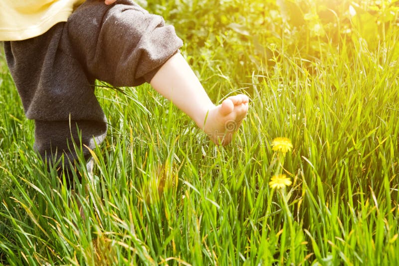 Pass of child in summer