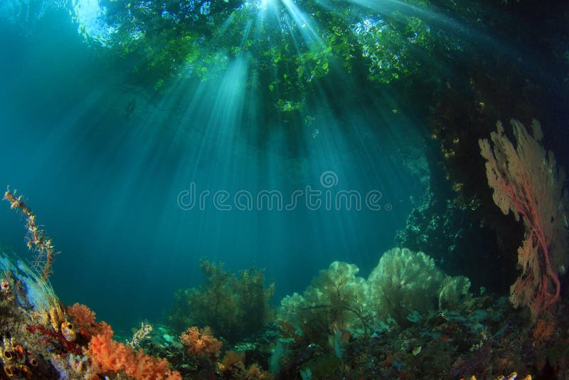 The Passage royalty free stock image The Passage royalty free stock image