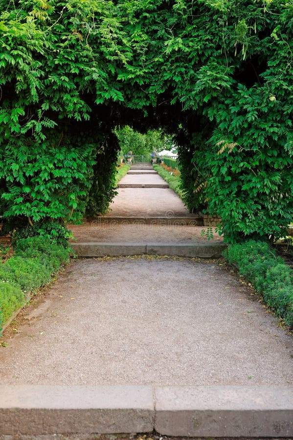 Secret Passage in the Garden Stock Image Image of plants, beautiful