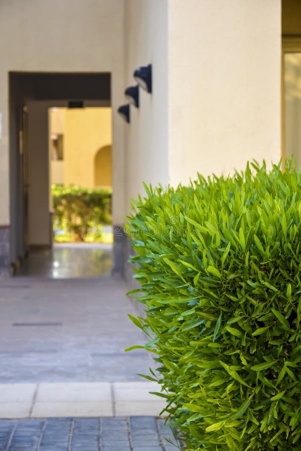 Passage through arches along green bushes. Architectural elements, techniques. Copy space for text. Lintel molding stock images, royalty-free photos and pictures