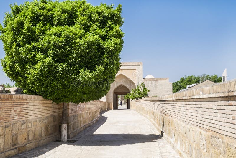 Passage avec un bel arbre à l'intérieur du complexe commémoratif de Khoja Bahauddin Nakshband, Boukhara, l'Ouzbékistan image stock Passage avec un bel arbre à l'intérieur du complexe commémoratif de Khoja Bahauddin Nakshband, Boukhara, l'Ouzbékistan image stock
