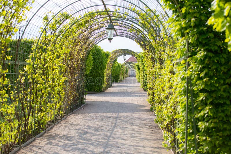 Garden passage stock image. Image of flowers, beautiful 28968883