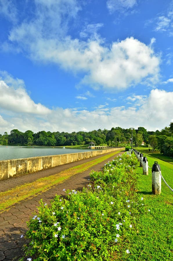 Passage couvert, Pierce Reservoir inférieur, Singapour photo libre de droits Passage couvert, Pierce Reservoir inférieur, Singapour photo libre de droits