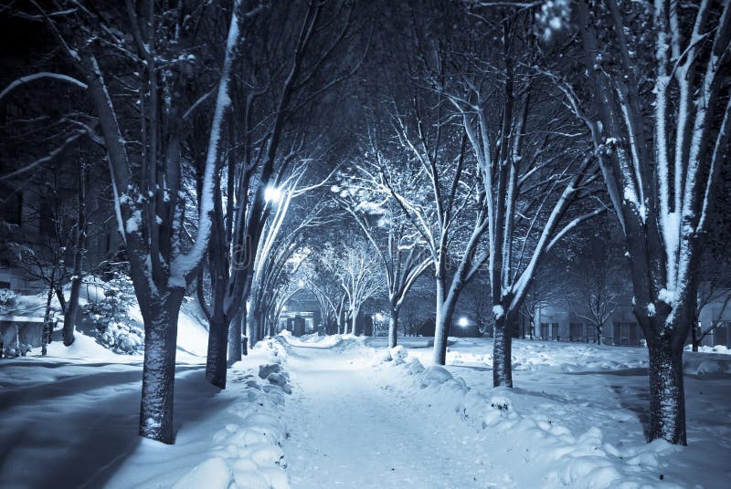 Duotone image of a snow covered path lit by street lights. Duotone image of a snow covered path lit by street lights