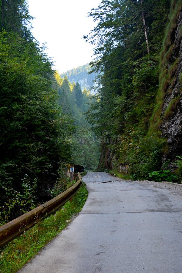 Passage d'Odancusii en montagnes d'Apuseni, la Transylvanie photographie stock Passage d'Odancusii en montagnes d'Apuseni, la Transylvanie photographie stock