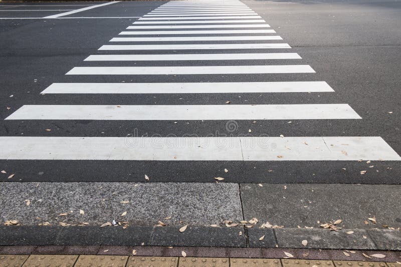 The asphalt crosswalk way black and white color. The asphalt crosswalk way black and white color